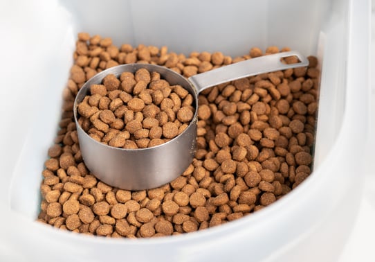 Pet-food-image