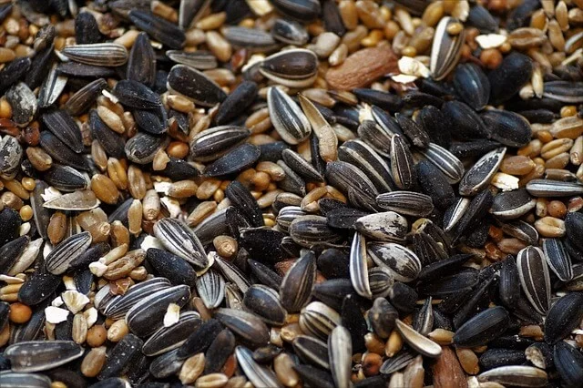 Gough seed grain mixture materials image