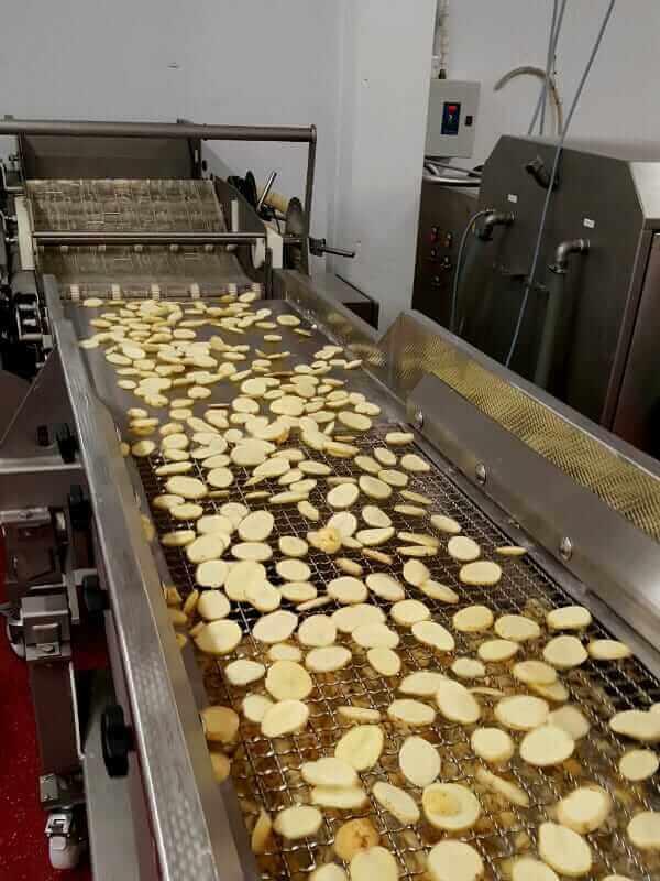 GLVS for Handling Sliced Potato