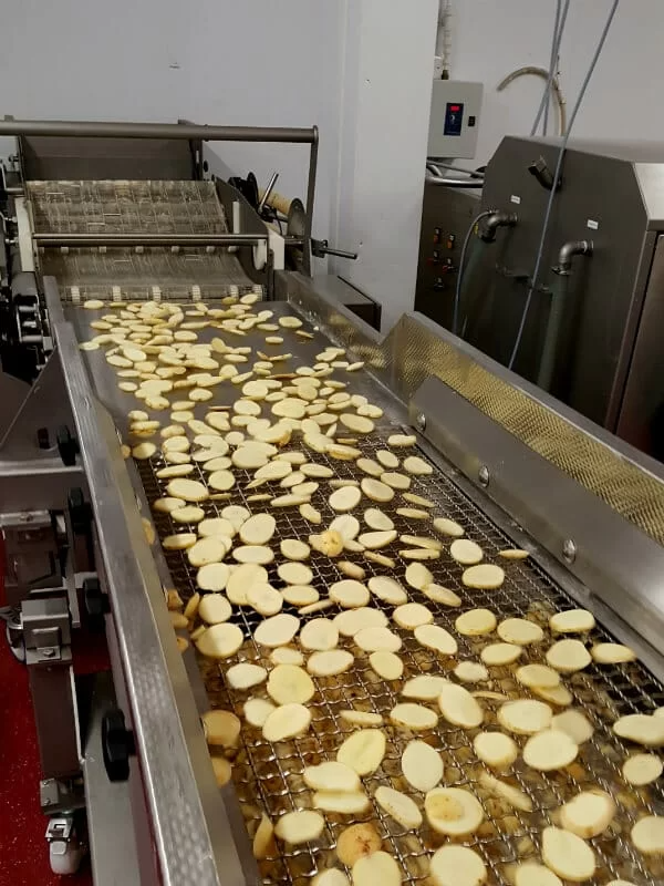 Vibrating linear screen handling sliced potato.