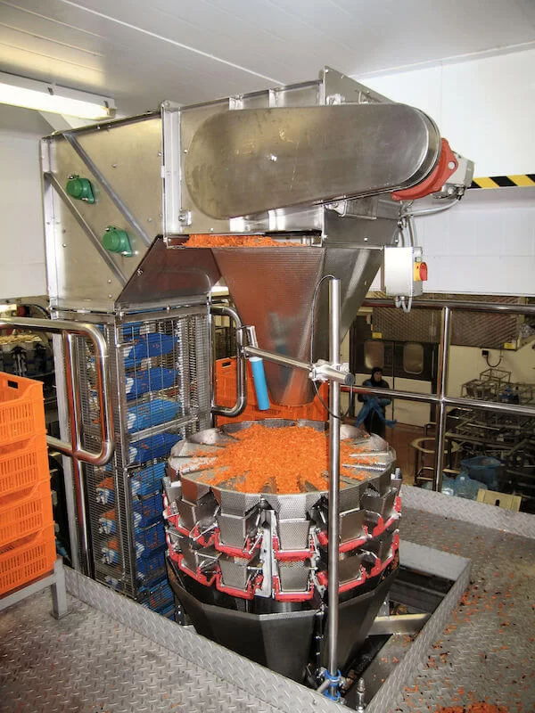Bucket elevator loading a multihead weigher.